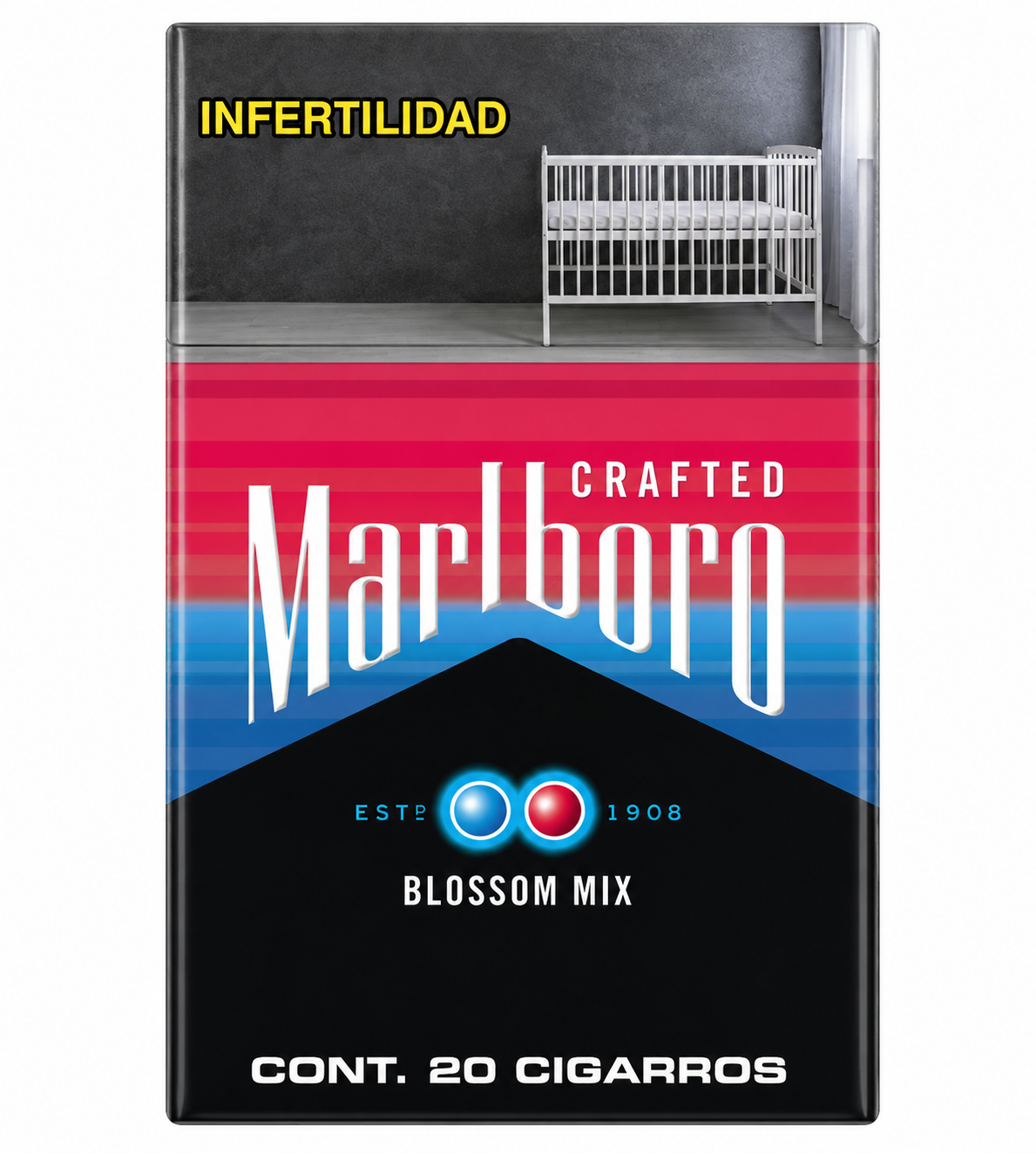 Blossom Crafted (Chicle) 20s